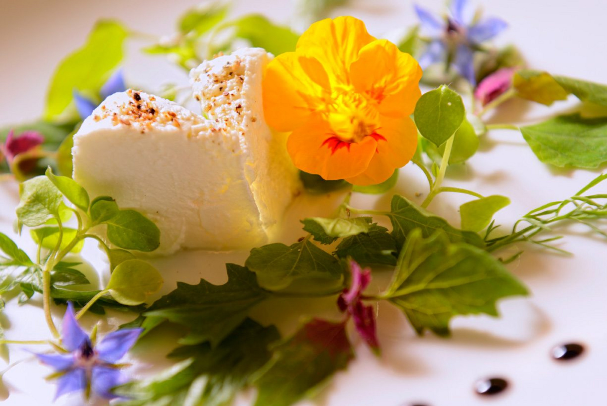 Food-Ziegenk?se-INTERNET-7-e1506434920446